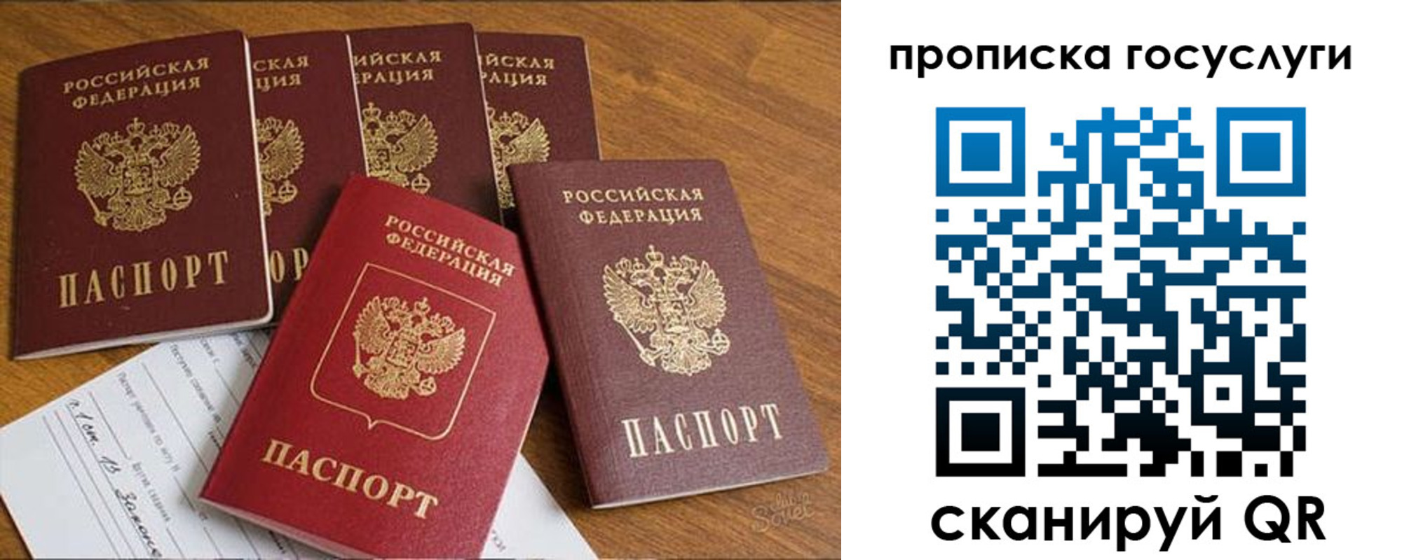 где прописаться в Димитровграде